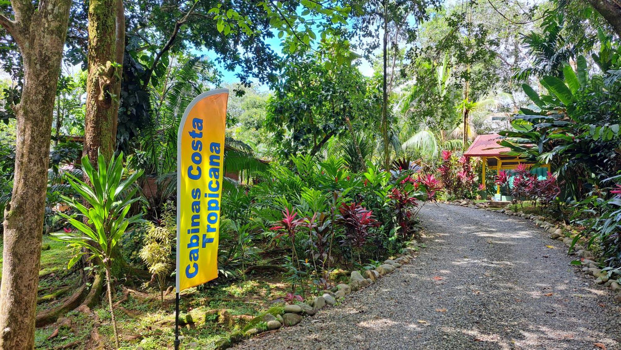 Cabinas Costa Tropicana Uvita Ngoại thất bức ảnh