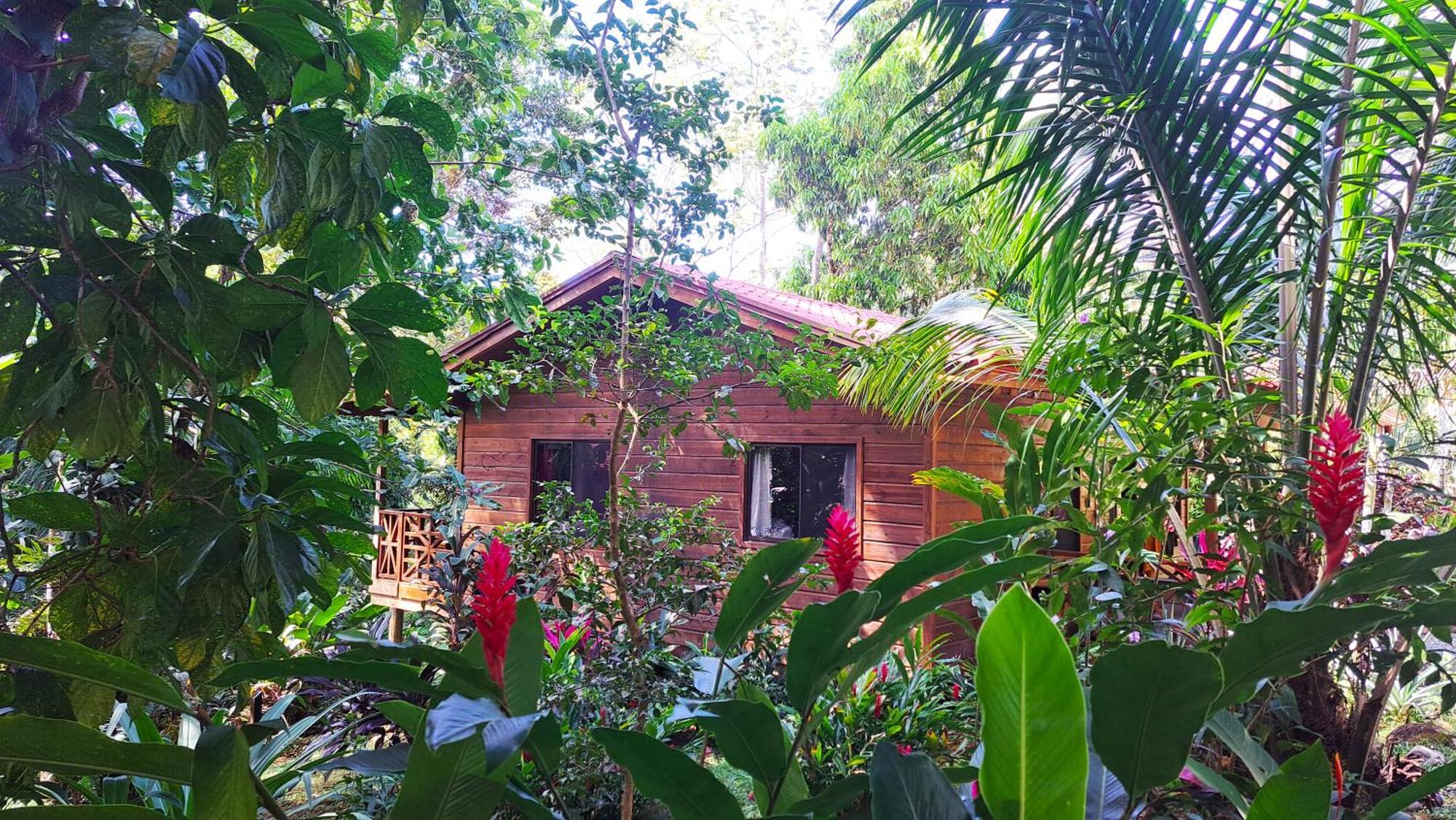 Cabinas Costa Tropicana Uvita Ngoại thất bức ảnh