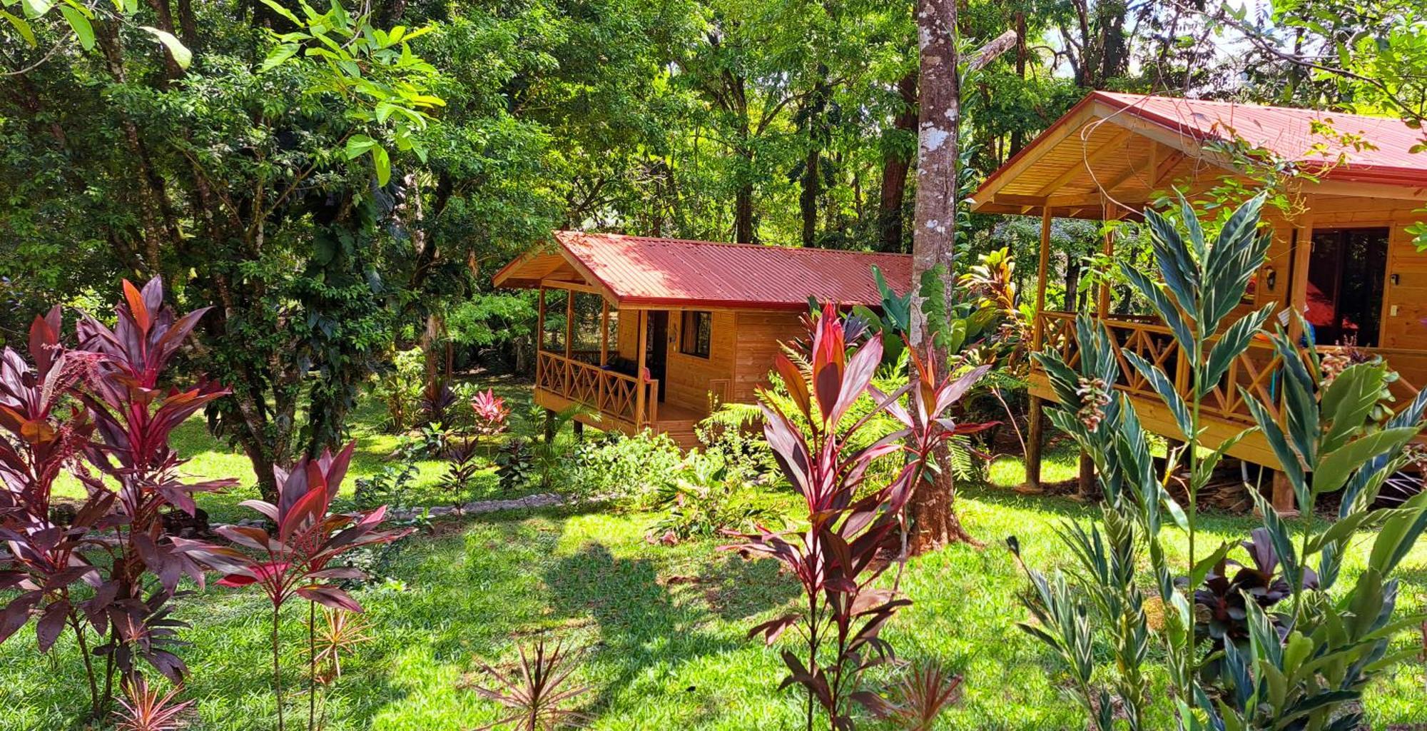 Cabinas Costa Tropicana Uvita Ngoại thất bức ảnh